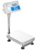 Picture of VTS Scale
